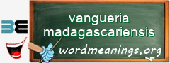 WordMeaning blackboard for vangueria madagascariensis